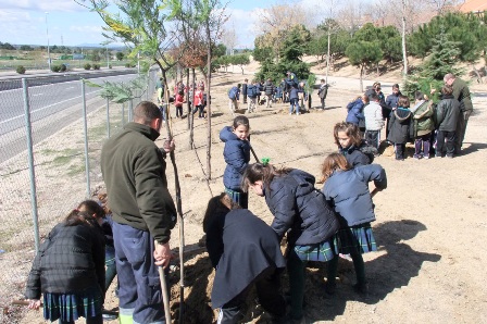 Clase especial para celebrar el Día del árbol