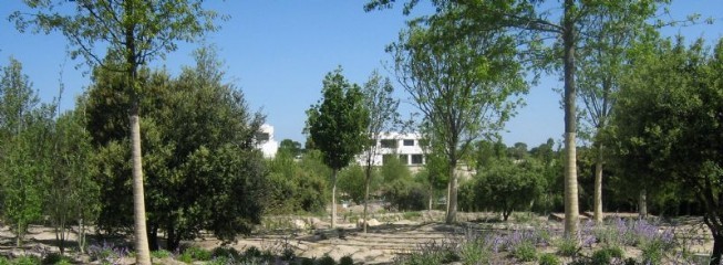El Ayuntamiento recepcionará 80 hectáreas de la zona de Somosaguas Sur