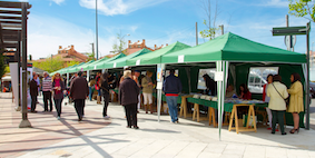 Boadilla comienza su Semana del Libro