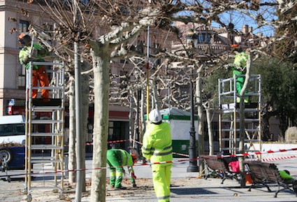 Los residuos de la poda son usados para proteger parques y jardines