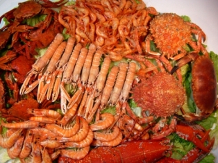 Lo mejor del mar gallego en la Feria del Marisco