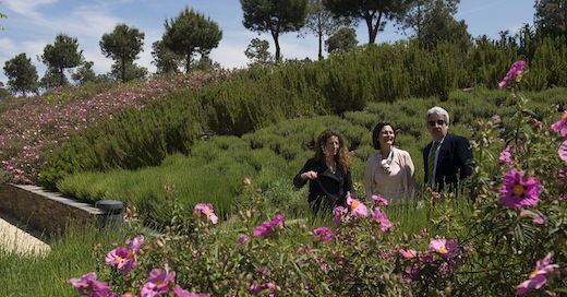 Pozuelo florece con la primavera