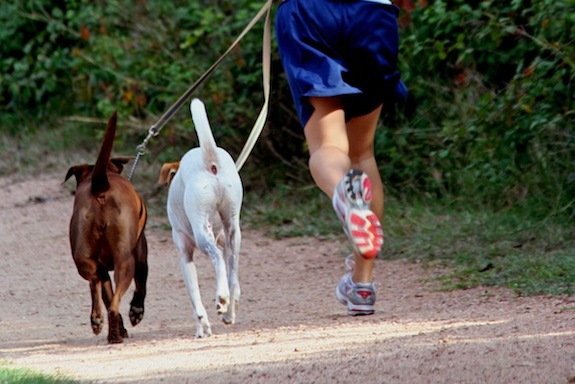 La Policía Local vigilará que los dueños de animales cumplen las normas