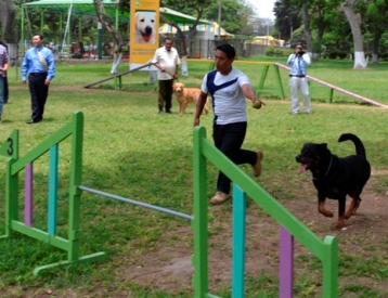 Villaviciosa se queda sin parque canino