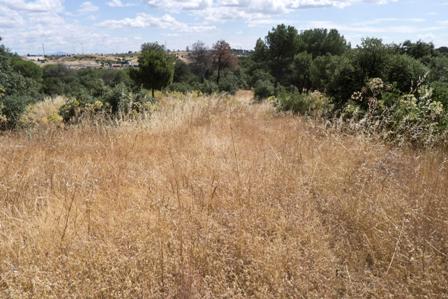 Precaución en la Dehesa de Majadahonda