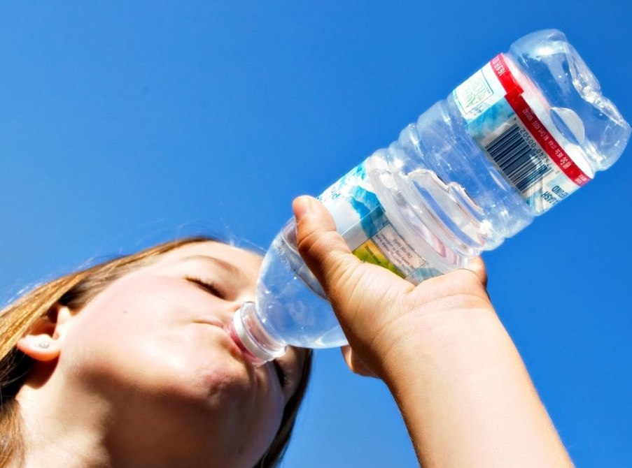 Agua, sombra y alimentos ligeros