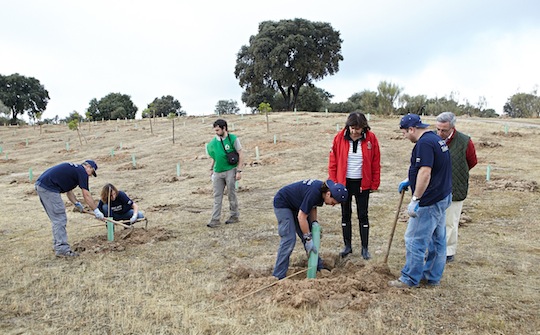 Cuando las ardillas cruzaban España saltando de árbol en árbol