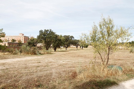 La finca de Nacedero será parte del Monte de Boadilla