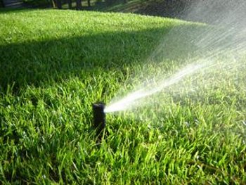 Nuevas formas de ahorrar agua en el riego de jardines