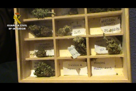 Desmantelado un grupo criminal dedicado al menudeo de drogas en Villaviciosa