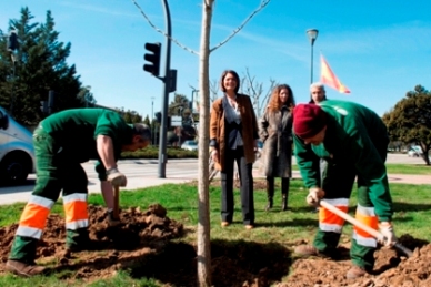 Pozuelo planta 20.000 arbustos y árboles nuevos