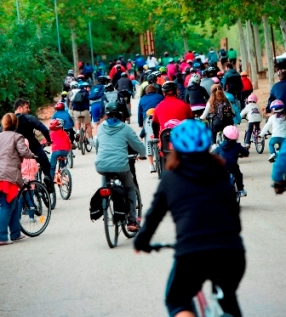Pozuelo crea un Registro de bicicletas
