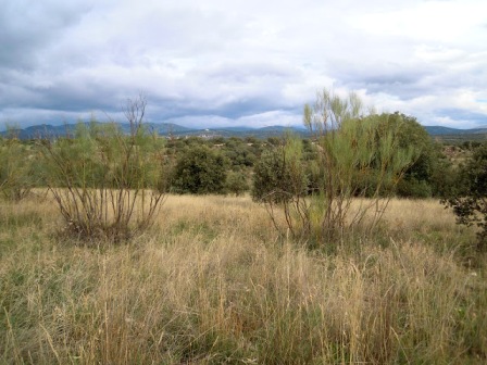 La Finca de El Garzo “en suspenso”