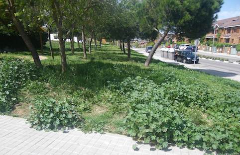 El Ayuntamiento de Majadahonda pide colaboración a sus vecinos para evitar incendios