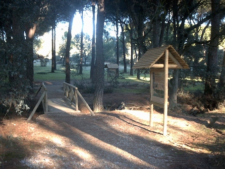 El Monte del Pilar prevenido contra los incendios