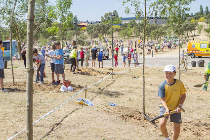 Los escolares reforestan la urbanización Valdecabañas