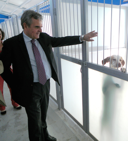 Las adopciones de animales en el CICAM crecen un 50% en el último año