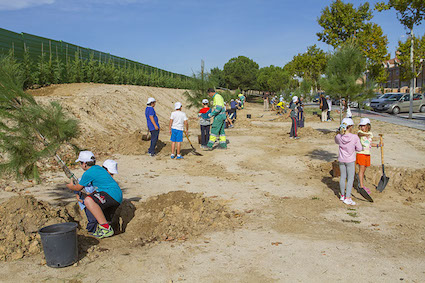 Reforestación de la zona Manuel de Falla
