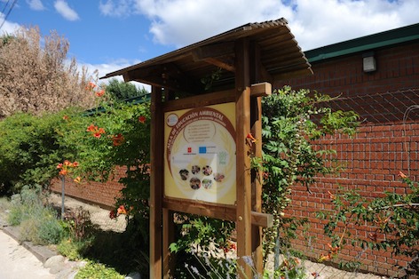 Jornada de puertas abiertas en el Aula de Educación Ambiental de Pozuelo