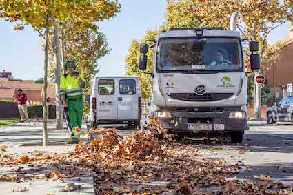 Servicio especial de recogida de hojas en Boadilla