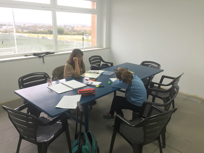 Zonas de estudio en los polideportivos municipales de Pozuelo
