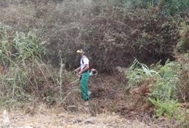 Majadahonda pide a sus vecinos precaución para evitar incendios