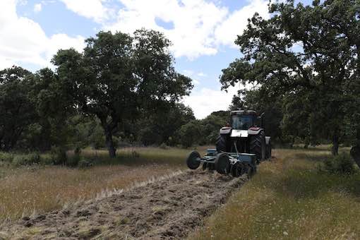 Revisión de los cortafuegos del monte de Boadilla