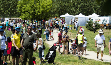 Pozuelo celebra el Día Mundial del Medio Ambiente