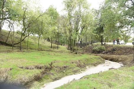 Limpieza de los arroyos de Nacedero y Calabozo