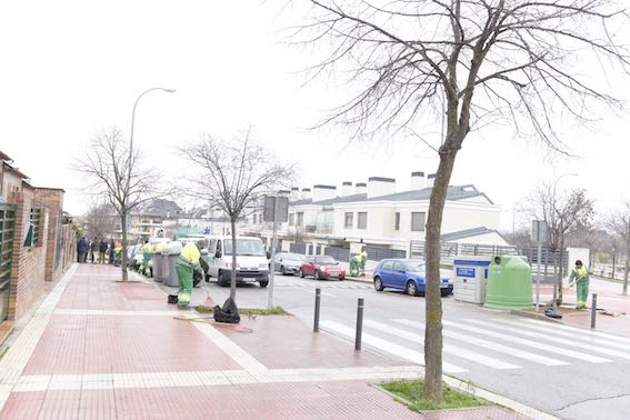 Más árboles en Boadilla