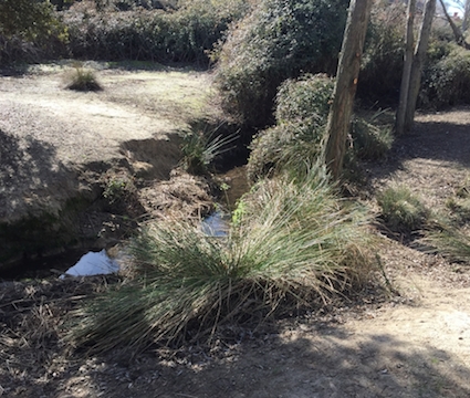 Limpieza de las aguas de Valdegrande