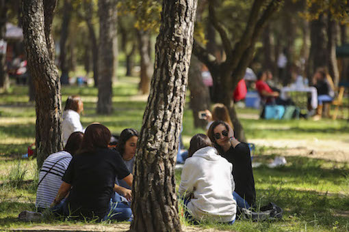 Fiestas locales en Las Rozas para 2021, el 9 de noviembre y el 29 de septiembre