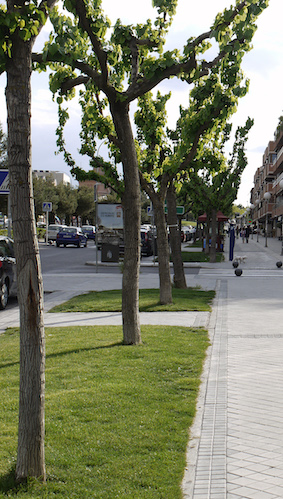 Renovación de la red de saneamiento sin zanjas en la  Avenida de Europa