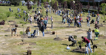 Gran plantación familiar en Boadilla abierta a todos los vecinos