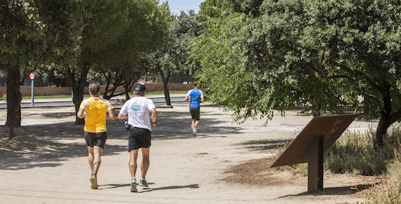 Servicio de asesoría deportiva al aire libre en Las Rozas