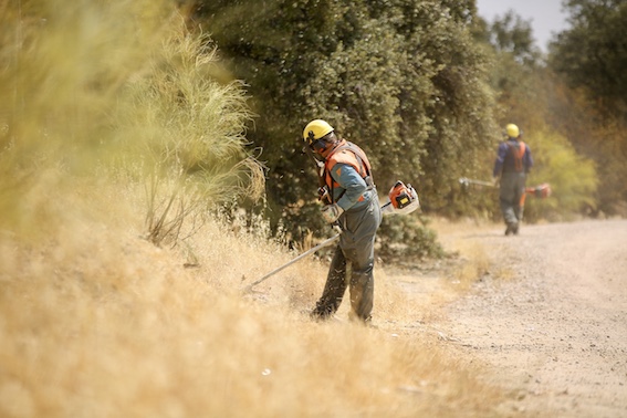 Las Rozas desbrozará 330 hectáreas este año para evitar incendios