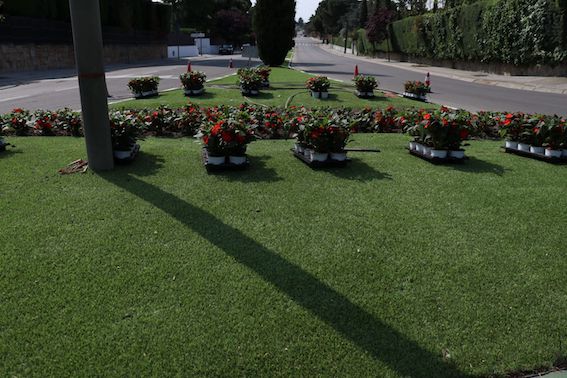 Más de 20.000 nuevas flores de primavera decoran Boadilla