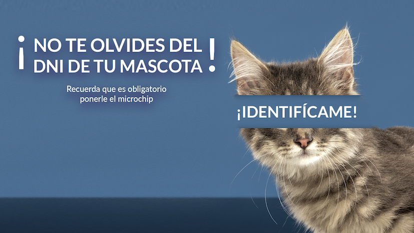 Boadilla recuerda la importancia de poner microchip a las mascotas
