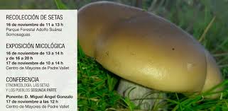 Recogida de setas este fin de semana en el Parque Forestal Adolfo Suárez