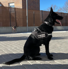 Nuevo agente de la Policía de Majadahonda
