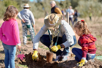 Las Rozas invita a participar en la Gran Plantación Familiar del próximo sábado 28 de octubre