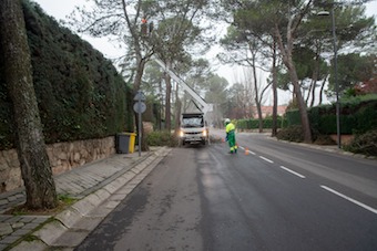 Boadilla podará más de 8.000 árboles este año