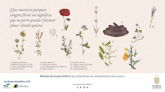 Boadilla lanza una campaña para recordar la obligatoriedad de recoger los excrementos caninos