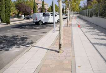 Puesta a punto de los alcorques de las calles principales de Boadilla