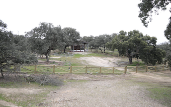 Boadilla protege la ermita de La Milagrosa para evitar la entrada de animales