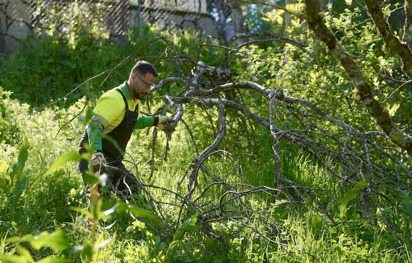 Las Rozas prepara la senda del arroyo Trofa para el verano