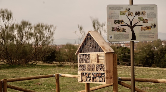 Los insectos de Las Rozas ya tienen hotel