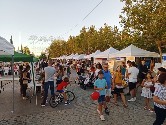 Voluntariado, mascotas que buscan un nuevo hogar y artesanía, todo este sábado en la Gran Vía de Majadahonda 