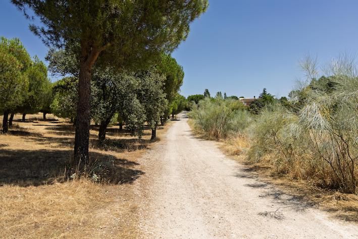 Boadilla sumará 11.000 kilómetros más a su carril bici