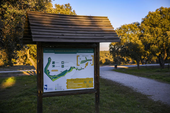 Hacer deporte en las instalaciones deportivas de Las Rozas será posible a partir del lunes